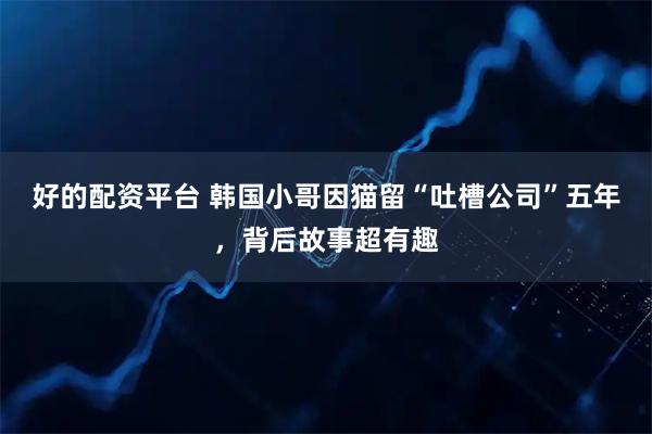 好的配资平台 韩国小哥因猫留“吐槽公司”五年，背后故事超有趣