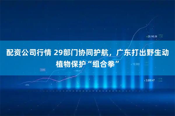 配资公司行情 29部门协同护航，广东打出野生动植物保护“组合拳”